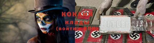 дурь Арсеньев