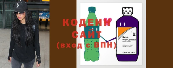 дурь Арсеньев