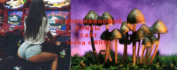 винт Аркадак
