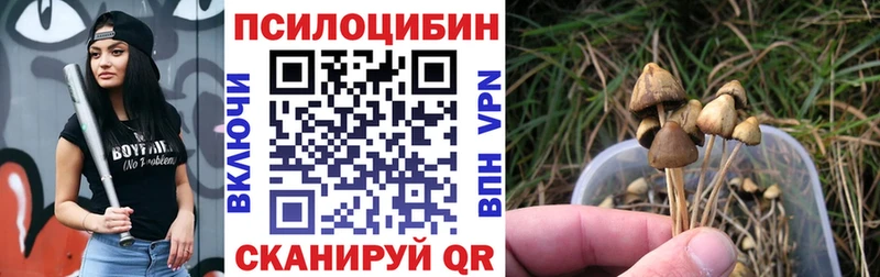 Псилоцибиновые грибы ЛСД  Пошехонье 